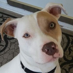 Meet your Posher, Denise